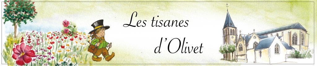 Tisanes d'olivet